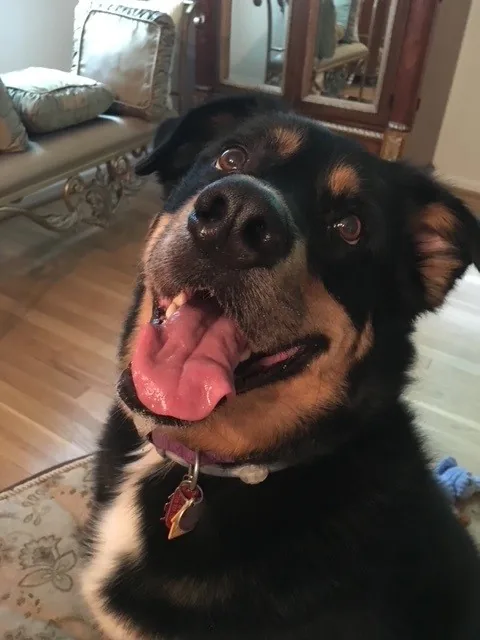Hope relaxing at home