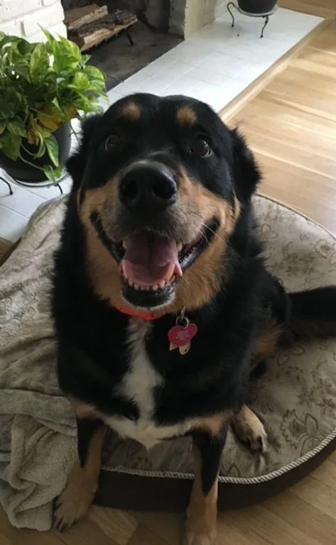 Hope sitting on her mom's lap